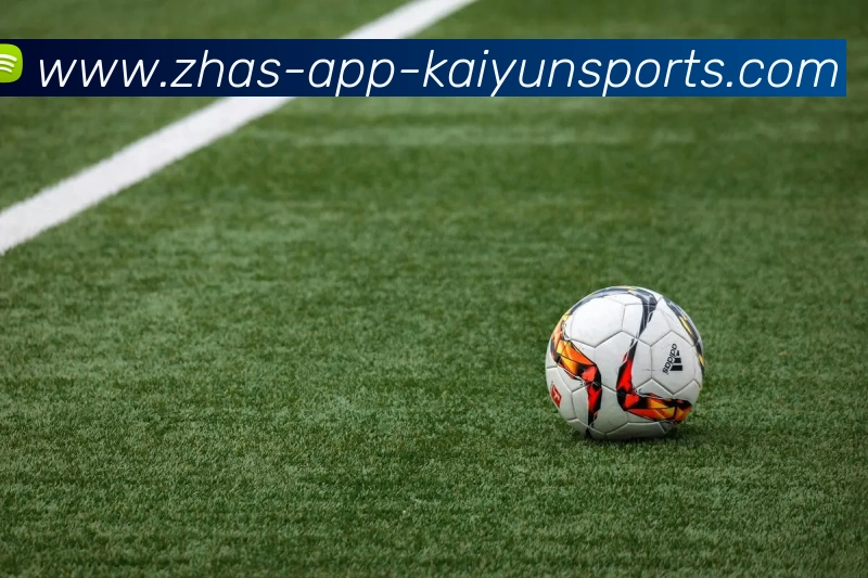 App Interface Preview