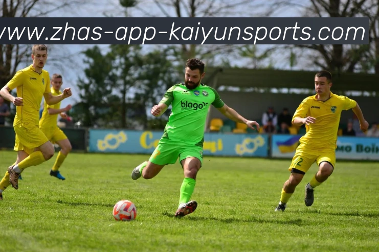 开云体育APP 封面图